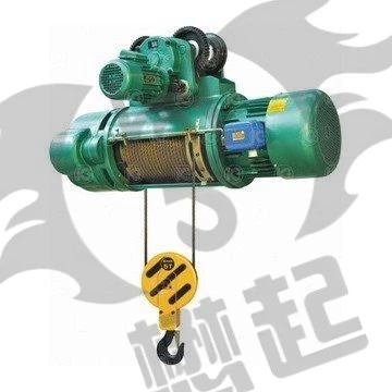 Wire Rope Electric Hoist best